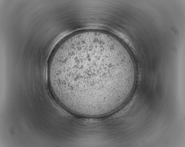 X0000112781275200909101604