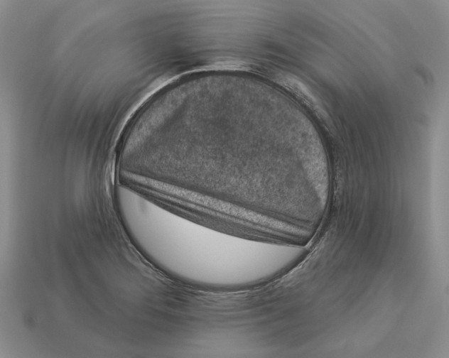 X0000112781276200909101604