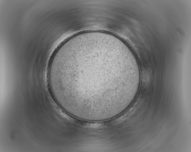 X0000112781278200909101604