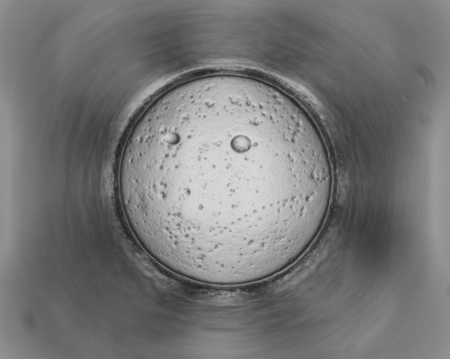 X0000112781279200909101604