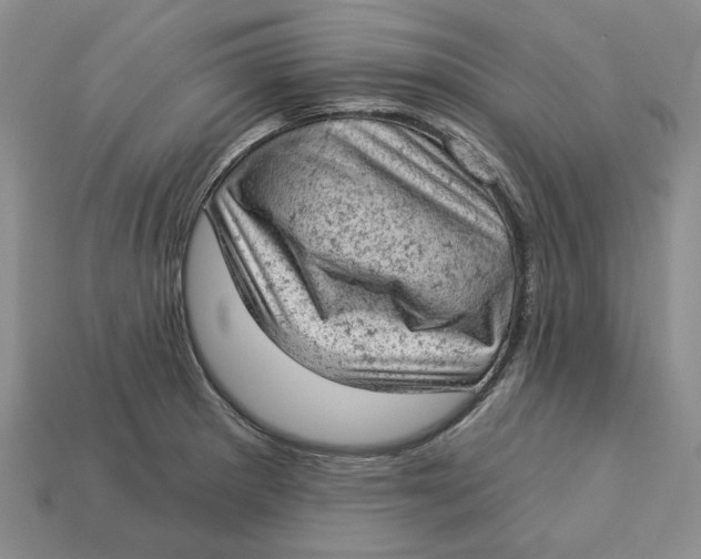 X0000112781281200909101604