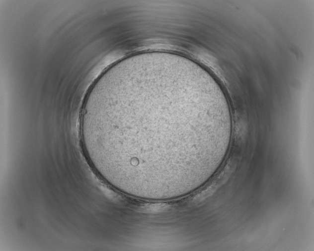 X0000112781282200909101604