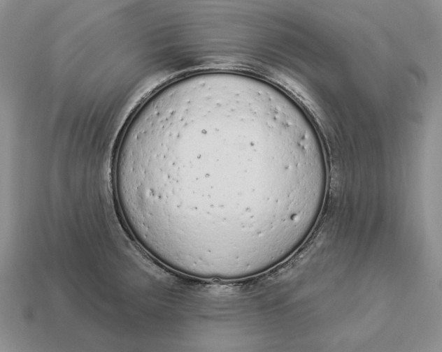 X0000112781283200909101604