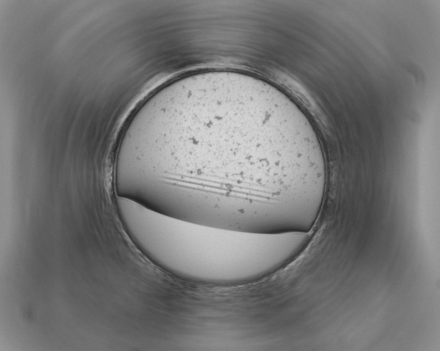 X0000112781284200909101604