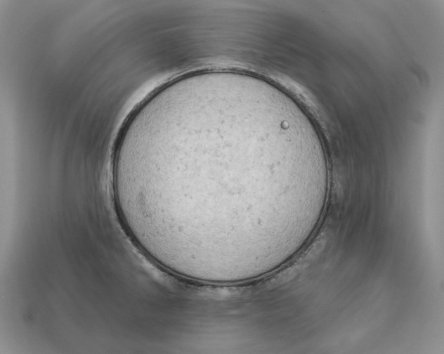 X0000112781286200909101604