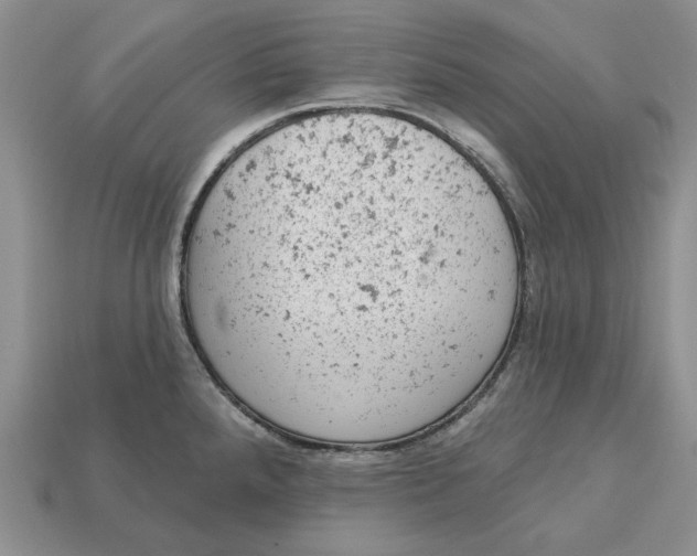 X0000112781288200909101604