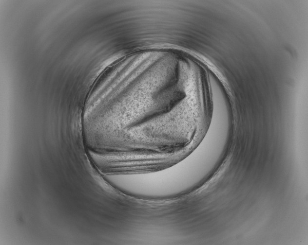 X0000112781289200909101604