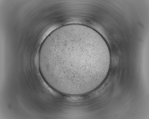 X0000112781290200909101604