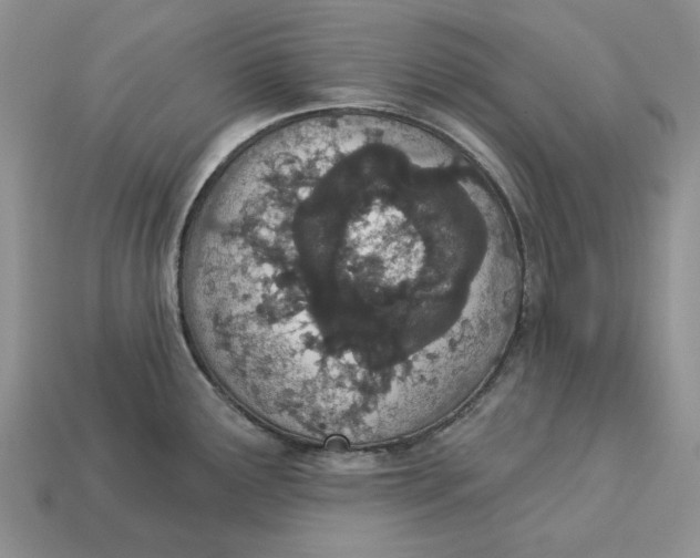 X0000112781291200909101604