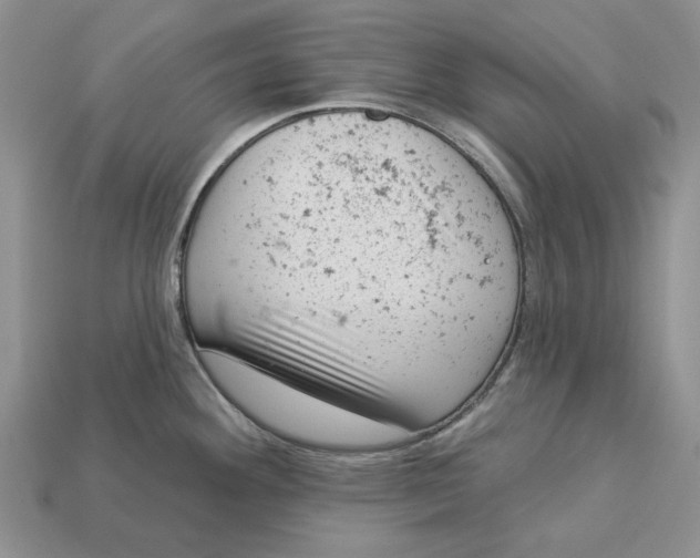 X0000112781292200909101604