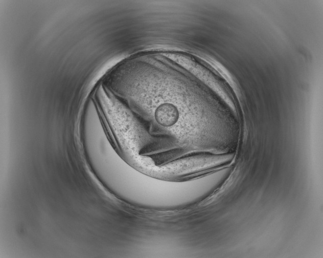 X0000112781293200909101604