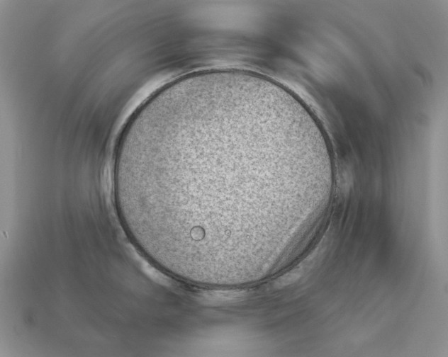 X0000112781294200909101604