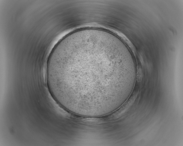 X0000112781295200909101604