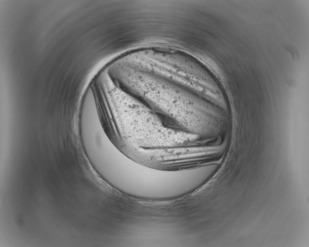 X0000112781296200909101604