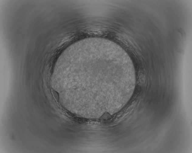 X0000112781297200909101604