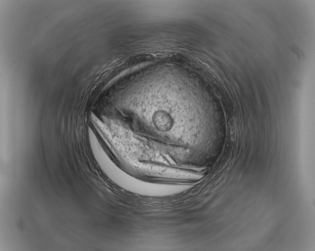 X0000112781298200909101604