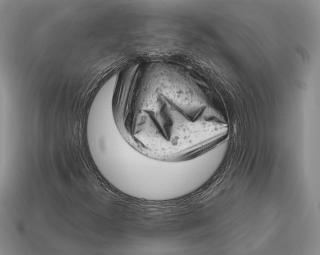 X0000112781300200909101604