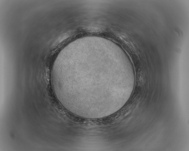 X0000112781301200909101604