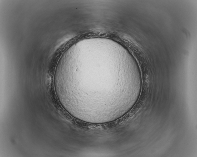 X0000112781302200909101604