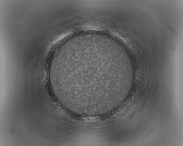 X0000112781303200909101604