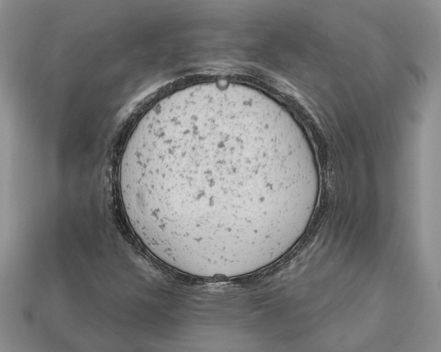 X0000112781304200909101604