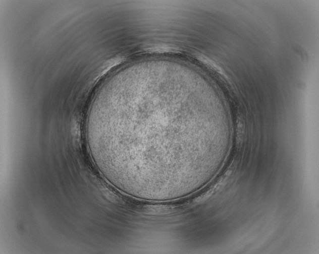 X0000112781305200909101604