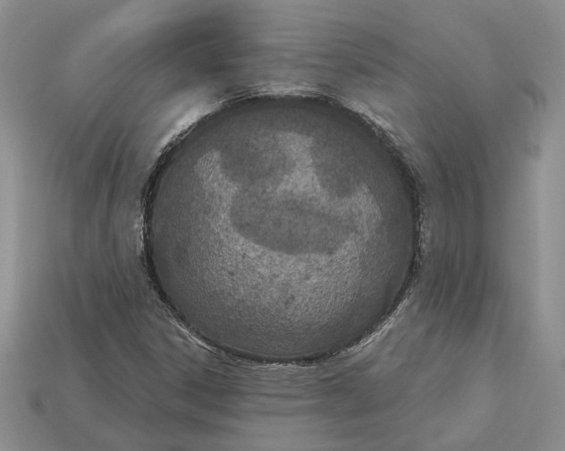 X0000112781306200909101604