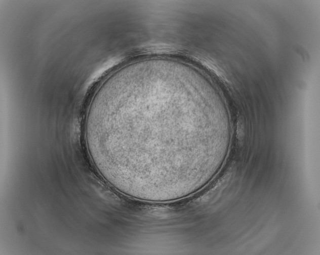 X0000112781309200909101604