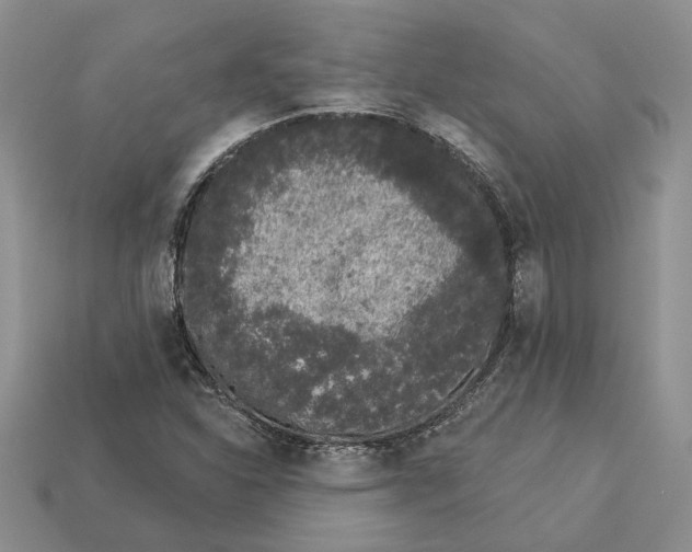 X0000112781310200909101604