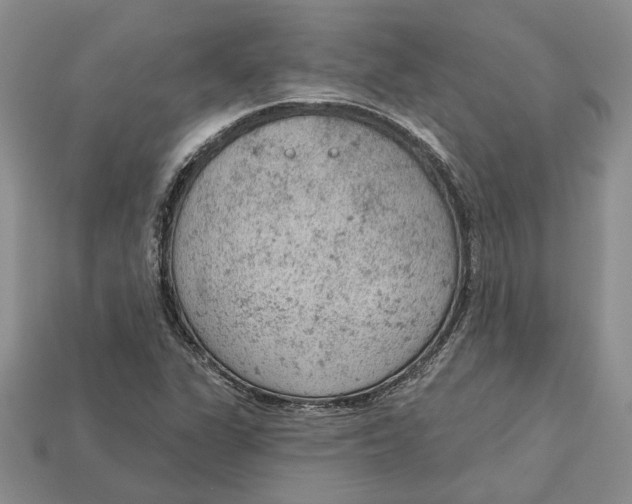 X0000112781311200909101604