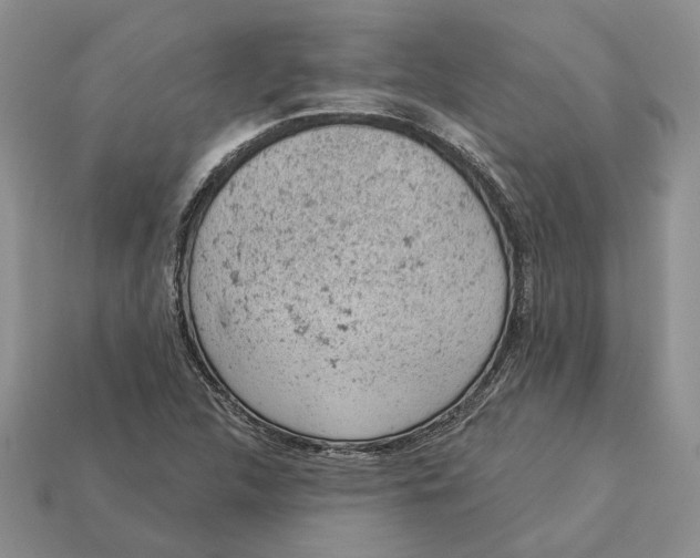 X0000112781312200909101604