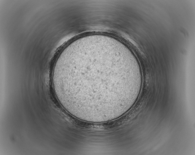 X0000112781315200909101604