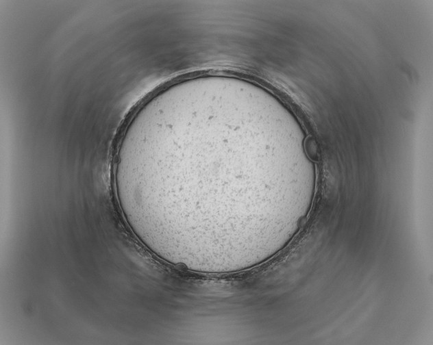 X0000112781316200909101604