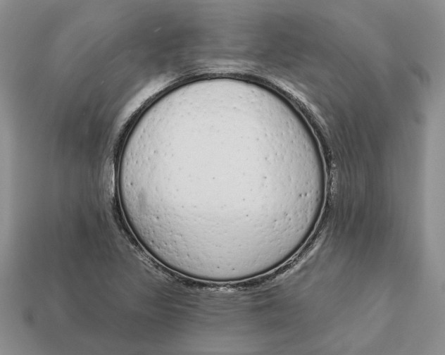 X0000112781317200909101604