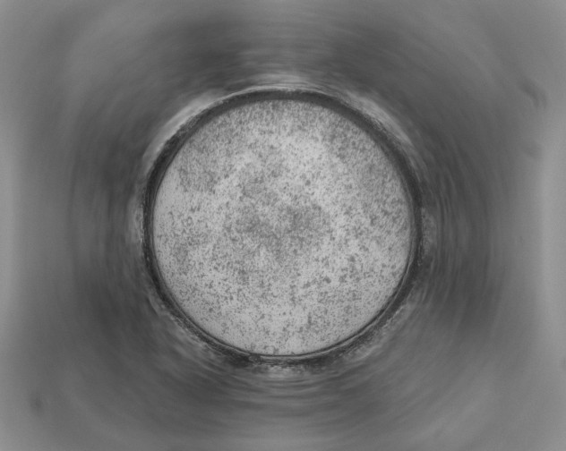 X0000112781318200909101604