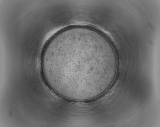 X0000112781319200909101604