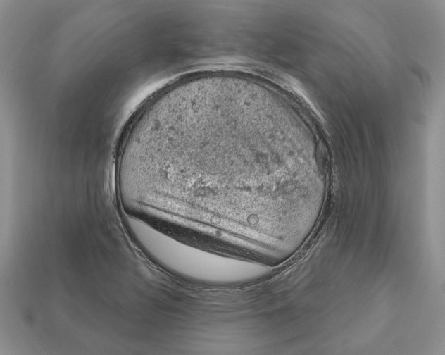 X0000112781320200909101604