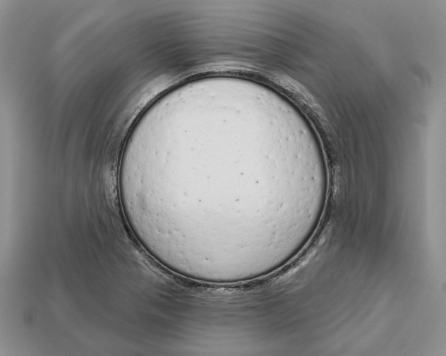 X0000112781321200909101604