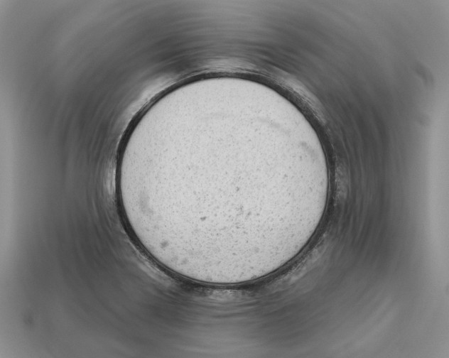 X0000112781322200909101604