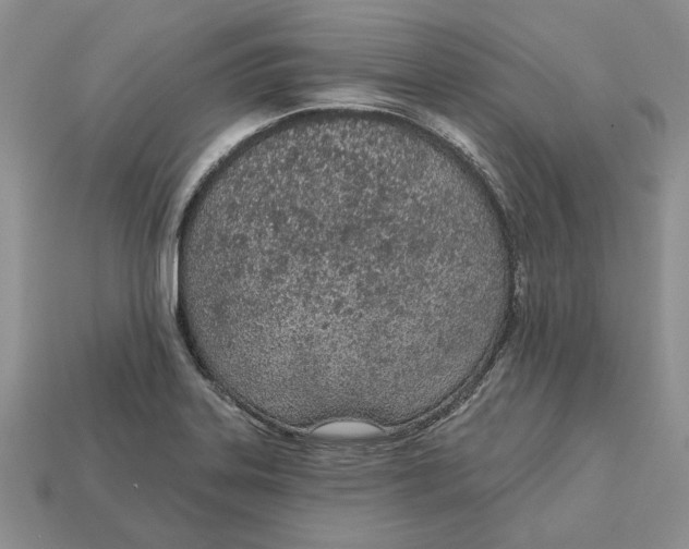 X0000112781323200909101604