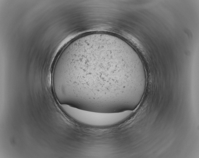 X0000112781324200909101604