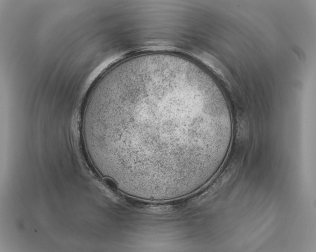 X0000112781325200909101604