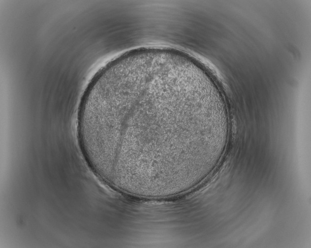 X0000112781327200909101604