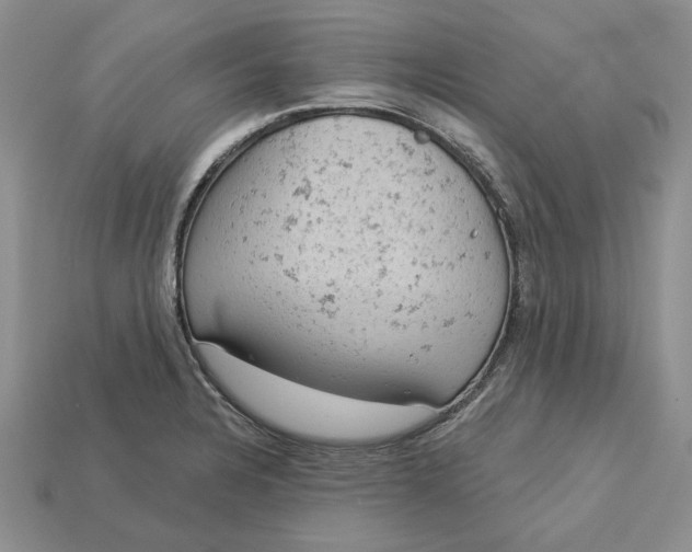 X0000112781328200909101604