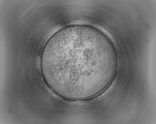 X0000112781329200909101604