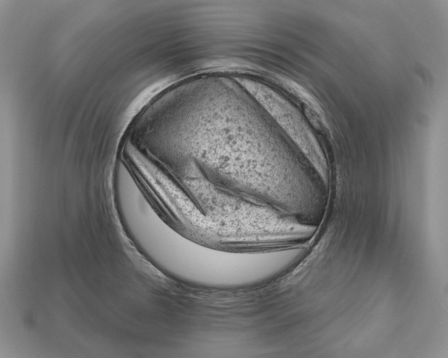 X0000112781330200909101604