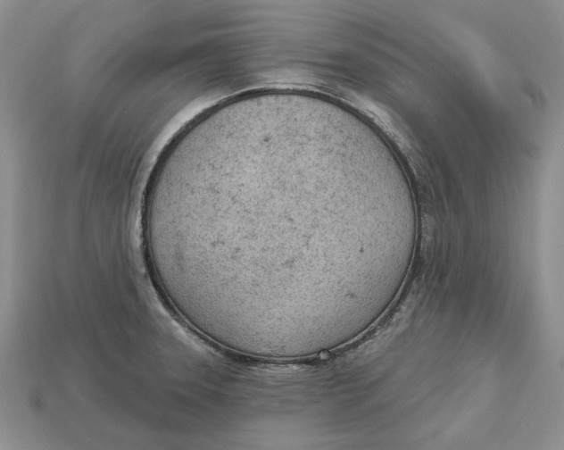 X0000112781331200909101604