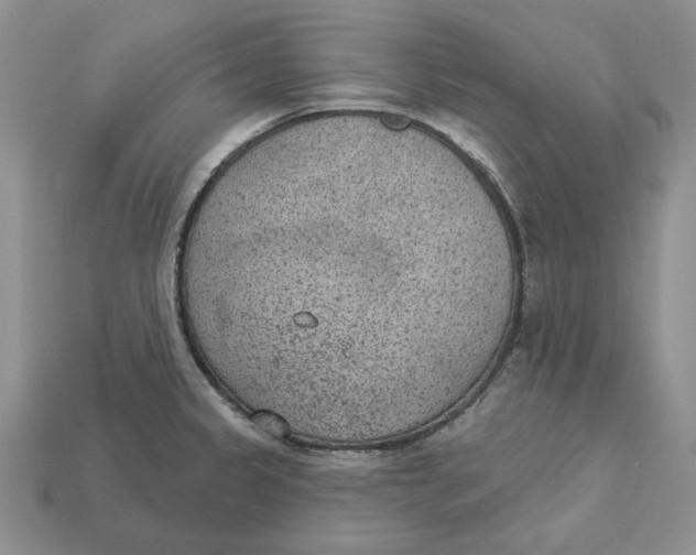 X0000112781333200909101604