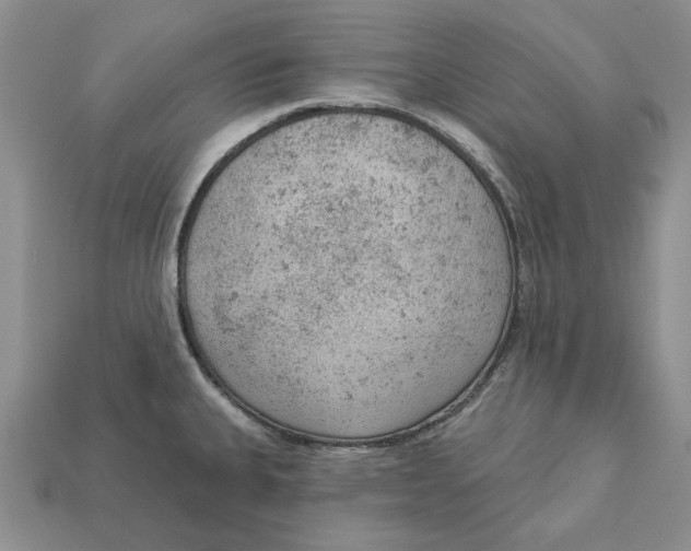 X0000112781335200909101604