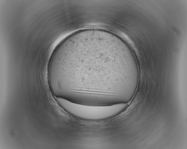 X0000112781336200909101604